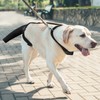OHCOZZY Adjustable Dog Tail Protector for Wounds, Tail Cover Recovery
