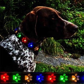 customized Dog Collar with airag holder LED Light Up - USB Rechargeable Waterproof Dog Collar Light for Small Medium Large Dogs (BLACK, L(15.7-19.7"))