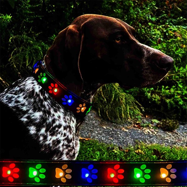 customized Dog Collar with airag holder LED Light Up -