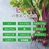 Lipsa Beets, Approx. 1 Month Supplement, C-530 (60 Capsules), Phosphor,