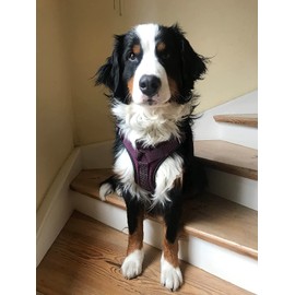 LOS ANDES Full Reflective Dog Harness Adjustable Harness No Pull Pet Harness with Front Clip, Soft Padded Dog Vest with Handle, Easy Control Dog Harnesses for Small Medium Large Dogs, Purple, S