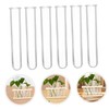 Outanaya 6pcs Clear Test Tube Vases for Hydroponic Plants Transparent