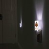 LED Night Light Plug into Wall with Dusk to Dawn