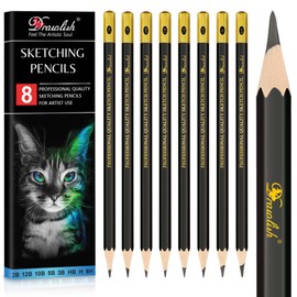 Drawing Pencils Set of 8-12B 10B 5B 3B 2B HB H 6H Sketching Pencils for Artists Beginners, Kids & Adults - Premium Wood Art Pencils Sketching Set for Shading, Doodling & Drawing