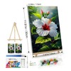 ATDMS Paint by Numbers Kit for Adults Flowers Paint by