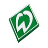 SV Werder Bremen 3D Diamond Magnet