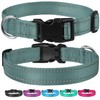 Reflective Dog Collar with Buckle Adjustable Safety Nylon Collars for