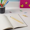 BIC 9213401 Cristal Shine 20 Ballpoint Pens, Elegant Ballpoint Pen