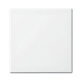 Busch-Jaeger rocker aws 2506-914, Busch-balance SI cover / control unit for installation switches, 4011395190210