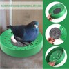 CiCixixi Set of 3 drawer bowls, nesting bowls for pigeons,