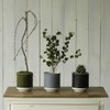 Leaf88 Made in Japan Flowerpot with Saucer, 4.1 x 4.5