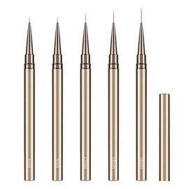 Nail Art Liner Brush, Nail Design Brush, Nail Art Dotting Tools, Painting Art Design Pen for Drawing Lines, for Nail Salons at Home (5 Pieces)
