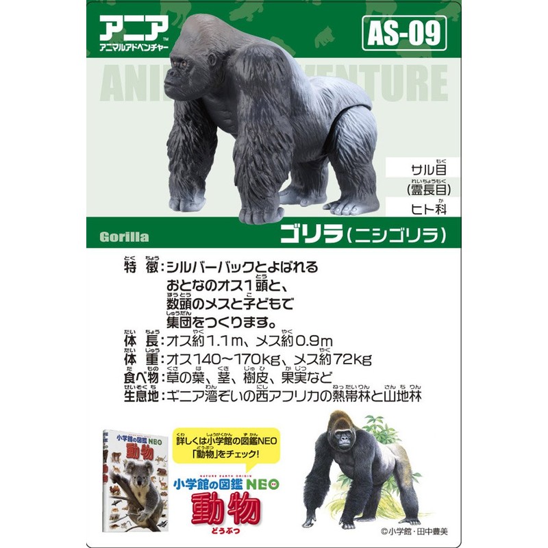 Ania AS-09 Gorilla