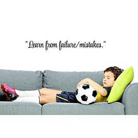 Decals - Learn from Failures/Mistakes. Wall Art Size 10 Inches X 36 Inches 22 Colors Available
