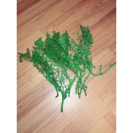 FRESCURA  PLANTA YERBA LLERBA religion yoruba ifa afrinaca santeria