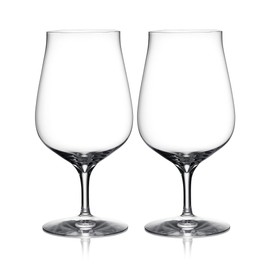 Waterford Craft Brew Hybrid Glass, Set of 2, 27 oz, Clear