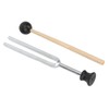 Tuning Fork Virbration Experimental Instrument Musical 256Hz Stainless Steel Resonant
