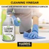 128 Oz. Vinegar All Purpose Cleaner Eucalyptus
