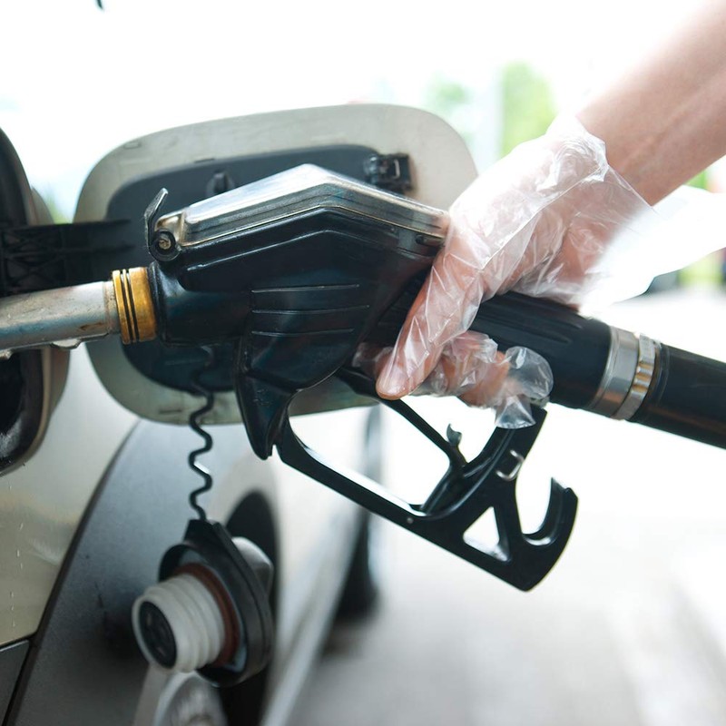 Pac-Dent Armor Disposable Protective Gloves, Clear Plastic, Multi-Use, 500 pcs/Box