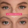 Renata Beauty Eyebrow Colour - Premium Eyebrow Dye - 15