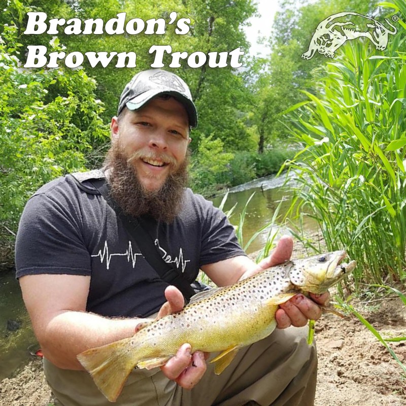 Panther Martin PMHMHS Scented Hammered Fishing Lures Catches Trout, Walleye,