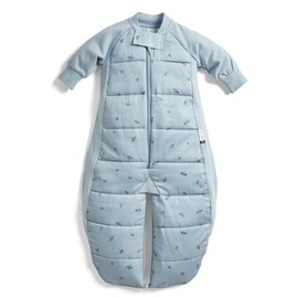 ergoPouch Baby Sleep Sack 2.5 TOG, Sleep Suit, Cozy Transition from Swaddle, Ideal for Nighttime Temperature Control, Unisex (3-12 Months, Dragonflies)