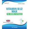 Vitamin B12 Max Supplement, 120 Tablets, 4 Months Supply, Vegetarian,