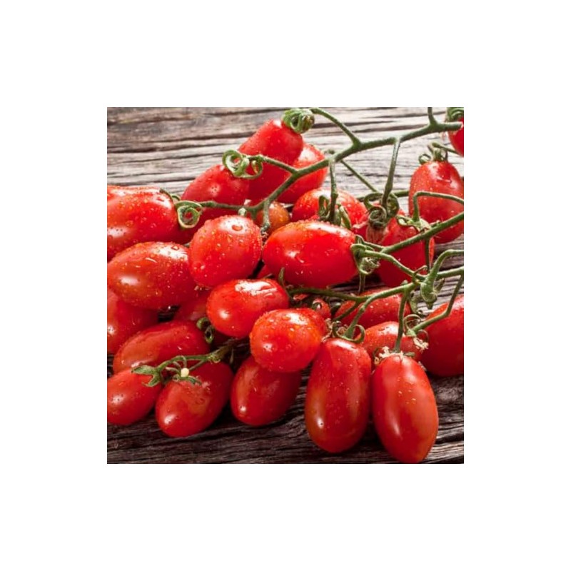 Mutti Peeled Tomatoes San Marzano 400 Gram