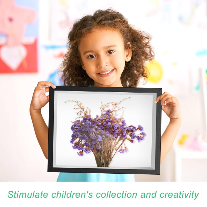 Shadow Box Picture Frame Wall Mounted Shadow Box Display Cases