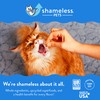 Shameless Pets Crunchy Cat Treats -  Catnip Treats for Cats