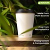 BIOFUTURE Biodegradable Coffee Cups – 50 x 6oz – 16oz