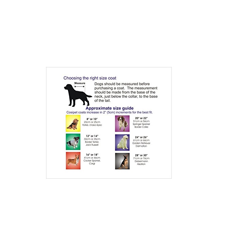 Cosipet Trouser Suit, 12-inch/ 30 cm, Red