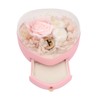 Heart Shaped Jewelry Box Wedding Preserved Flower Necklace Ring Storage