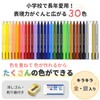 Sakura Coupy - Pencil Pastel Crayons, set