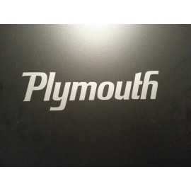 Unbranded  DECAL ***FOR  PLYMOUTH GTX DODGE  CUDA MOPAR HEMI  ROAD RUNNER SILVER