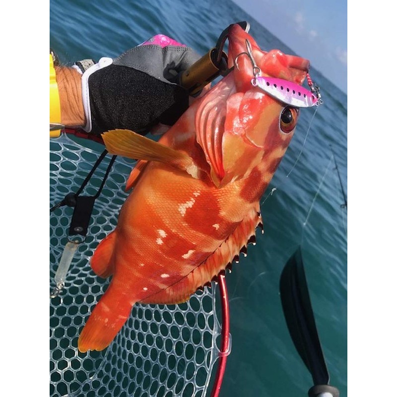 Metal Jig Sardine 40g 78mm 3D Red Eye Hologram Body