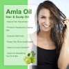 Mzl Aceite Capilar Amla Oil For Crecimiento Cabello