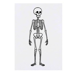 'Creepy Skeleton' Temporary Tattoo - Water Resistant, Skin-Safe, Non-Toxic Transfer (TO00078211)