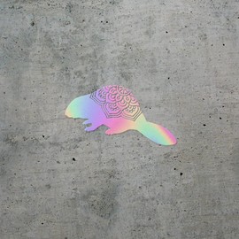 Decal Stickers of Beaver Mandalas Flowers (Hologram) (Set of 2) Premium Waterproof Vinyl Decal Stickers for Laptop Phone Accessory Helmet Car Window Mug Tuber Cup Door - BICVER1f40422HOW19Y24