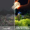 G4 T3 LED Landscape Bulbs 5W 12~24V, 40W 35W Halogen