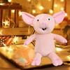 Give a Pig a Pancake Plush 2PCS, If You Book