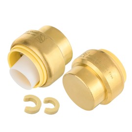 (Pack of 2) Foskan 1 Inch Push Fit Plug,LF Brass Fittings, Push to Connect PEX, Copper, CPVC, PE-RT Pipes, with Disconnect Clip for Plumbing Repairs