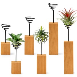 ARQRHTLY 3 Pcs Wooden Air Plant Holder, 3 Sizes Air Plant Container Live Holder Wood Base with Metal Spiral for Display Small AirPlant, Tillandsia Stands for Home Desktop Office, Housewarming Gift