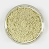 Oherb 국산 브로콜리가루 브로콜리분말 40g Korean Broccoli Powder 40g