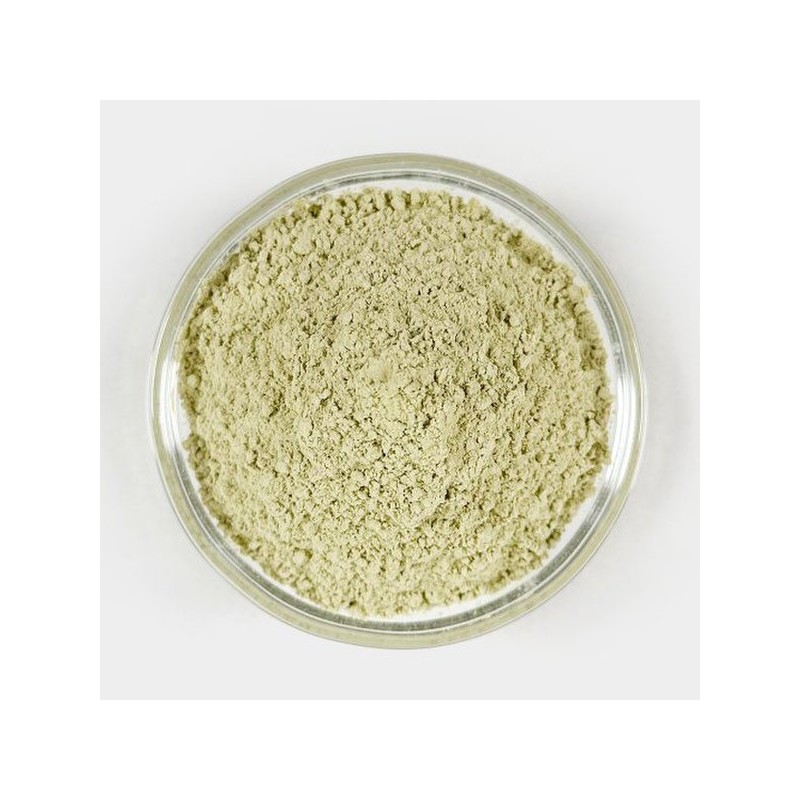 Oherb 국산 브로콜리가루 브로콜리분말 40g Korean Broccoli Powder 40g