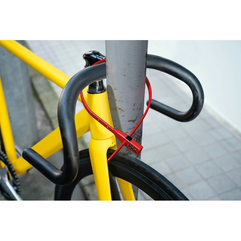 BASI Cable Tie Lock, Universal Security Strap with Steel Core,