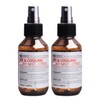 Partner_Reference 에버에센스 아이스 & 쿨링 바디미스트 시트러스 100ml 2개 /