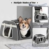 PETSFIT Large Pet Carrier with Wheels Designed for 2 Small