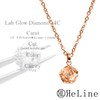 ReLine Genuine Cremation Accessory, Diamond Rose Pendant, Includes Bone Set,