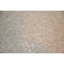 Unbranded SAN FRANCISCO SOURDOUGH STARTER yeast "sally"  TOP SELLER + recipes @ fresh sour